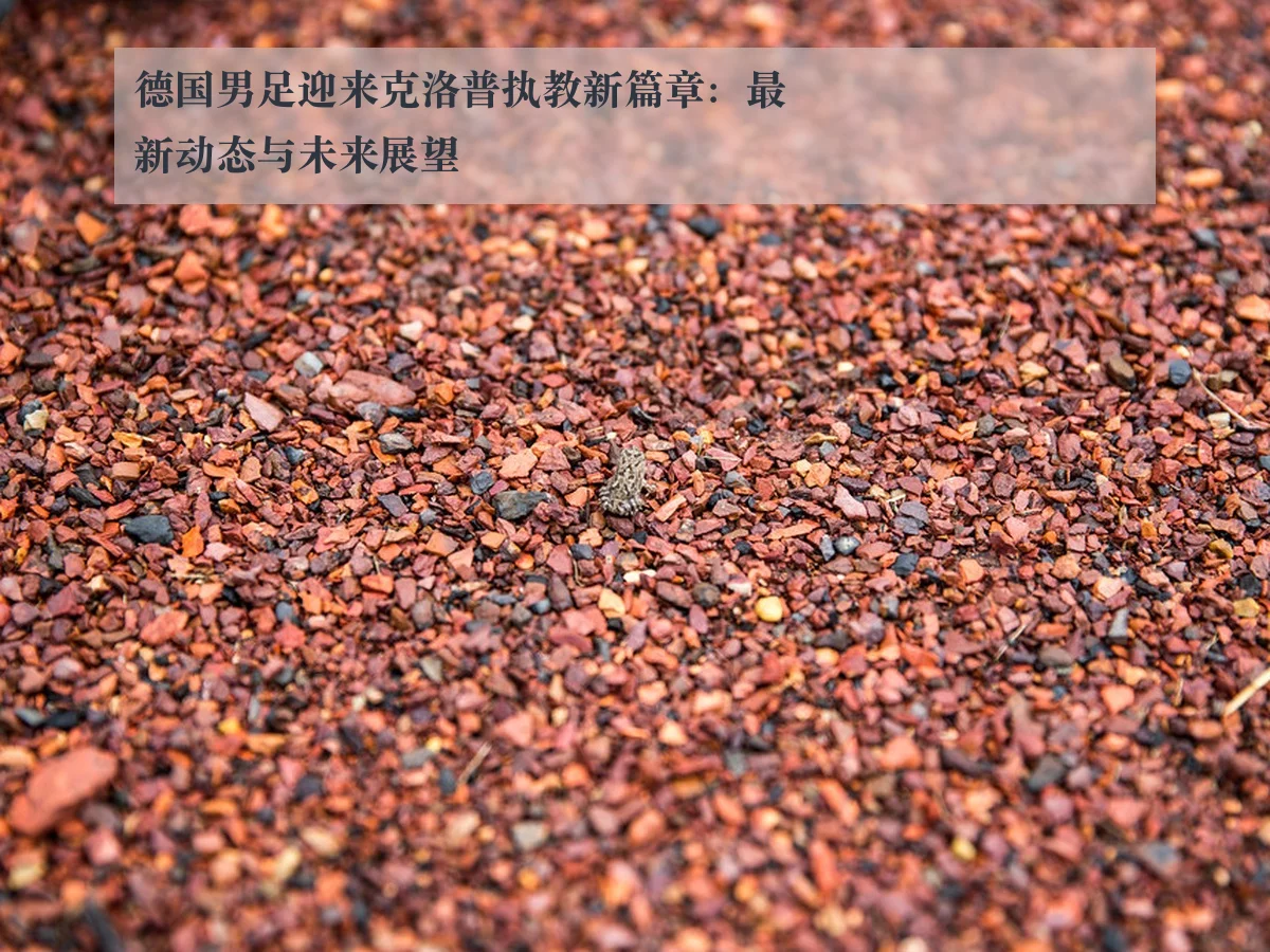 德国男足迎来克洛普执教新篇章:最新动态与未来展望